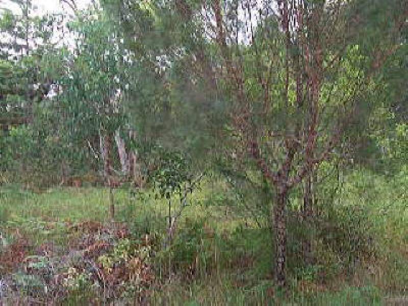 Macleay Island QLD 4184