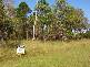 Coochiemudlo Island QLD 4184