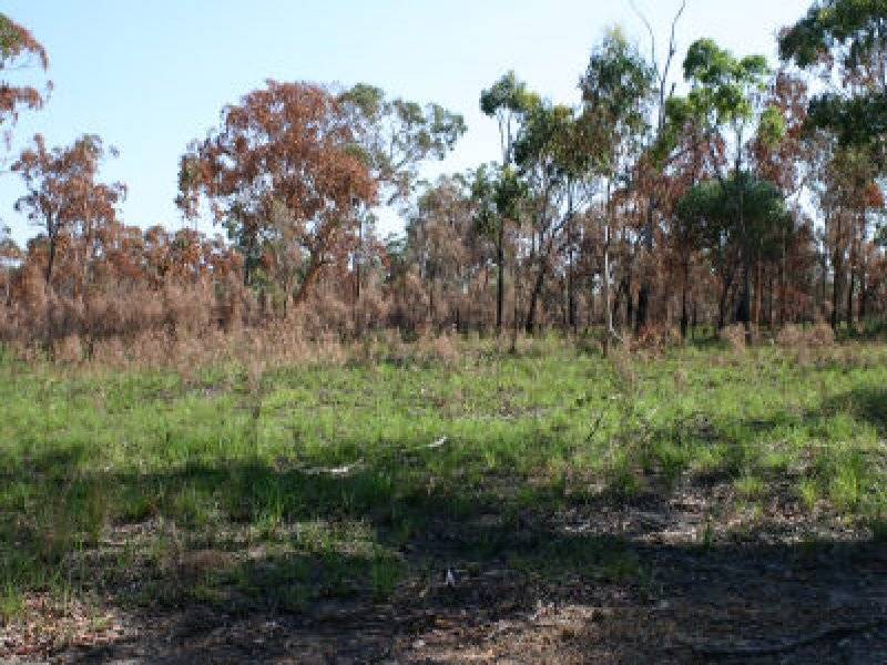 18 Wirralee Street, Macleay Island QLD 4184