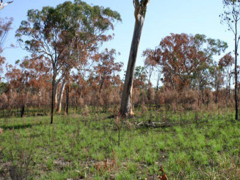 18 Wirralee Street, Macleay Island QLD 4184