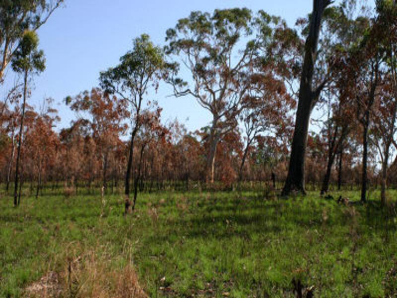 18 Wirralee Street, Macleay Island QLD 4184