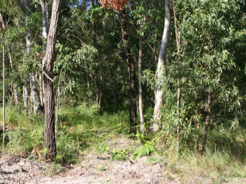 40 Attunga Street, Macleay Island QLD 4184