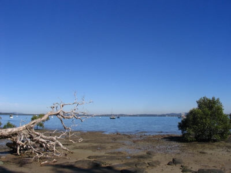 63 Coondooroopa Drive, Macleay Island QLD 4184
