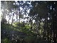 15 Beelong Street, Macleay Island QLD 4184