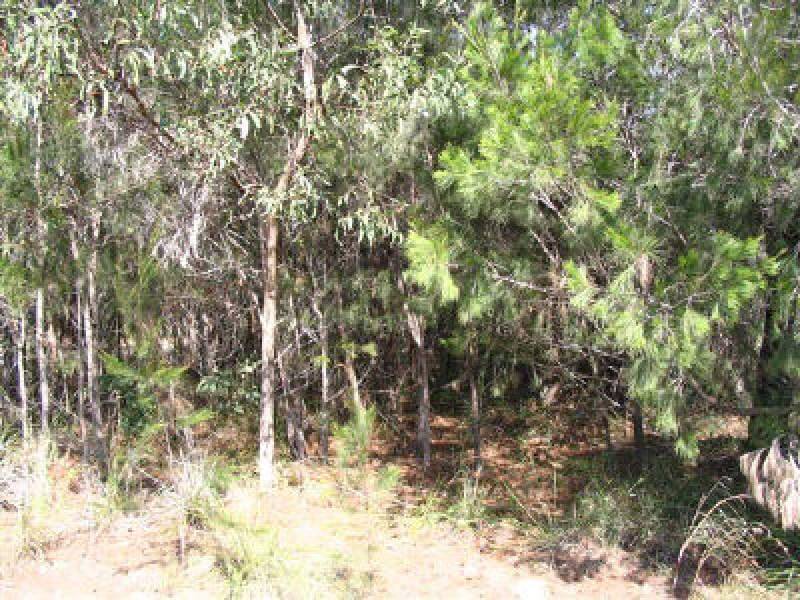 18 Ashton Street, Macleay Island QLD 4184