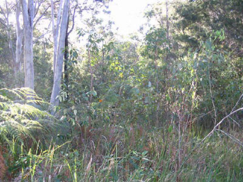7 Devaney Street, Macleay Island QLD 4184