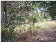17 Michael Street, Macleay Island QLD 4184
