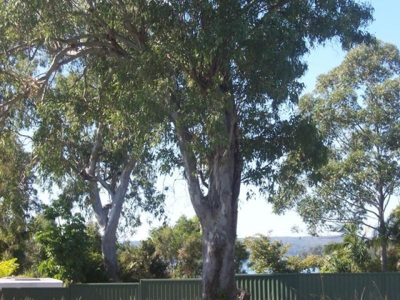 73 Scotts Road, Macleay Island QLD 4184