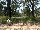 11 Blue Bay, Perulpa Island QLD 4184