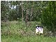 36 Camena, Macleay Island QLD 4184