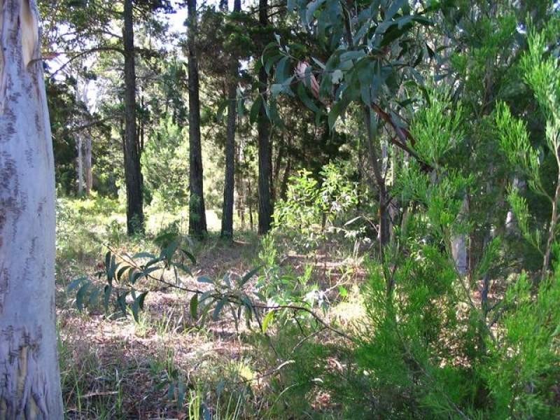 67 Kate Street, Macleay Island QLD 4184