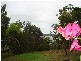 38 Goodsell Crescent, Lamb Island QLD 4184
