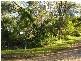 1 Niel Street, Lamb Island QLD 4184