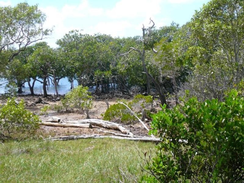 5 Blue Vista Street, Perulpa Island QLD 4184