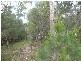 17 Jane Street, Macleay Island QLD 4184