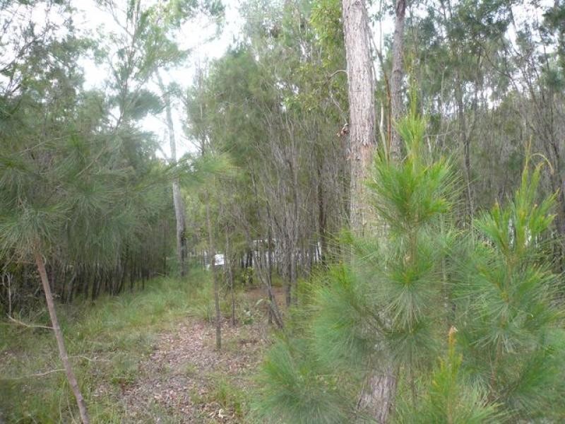 17 Jane Street, Macleay Island QLD 4184