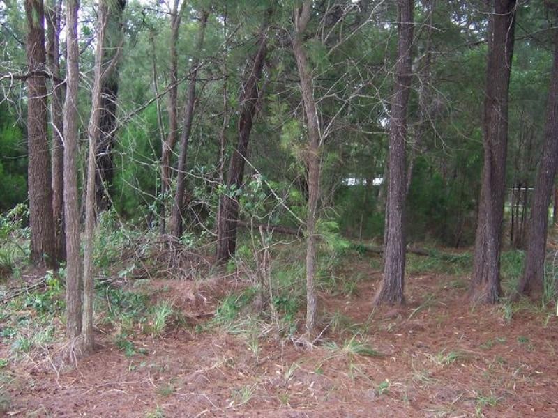 19 Natone Tce, Macleay Island QLD 4184