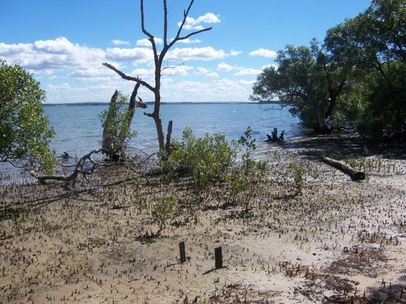 45 Attunga Street, Macleay Island QLD 4184