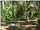 11 Paranka Street, Lamb Island QLD 4184