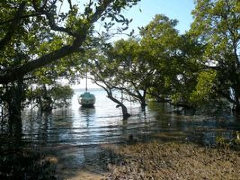 61 Beelong Street, Macleay Island QLD 4184