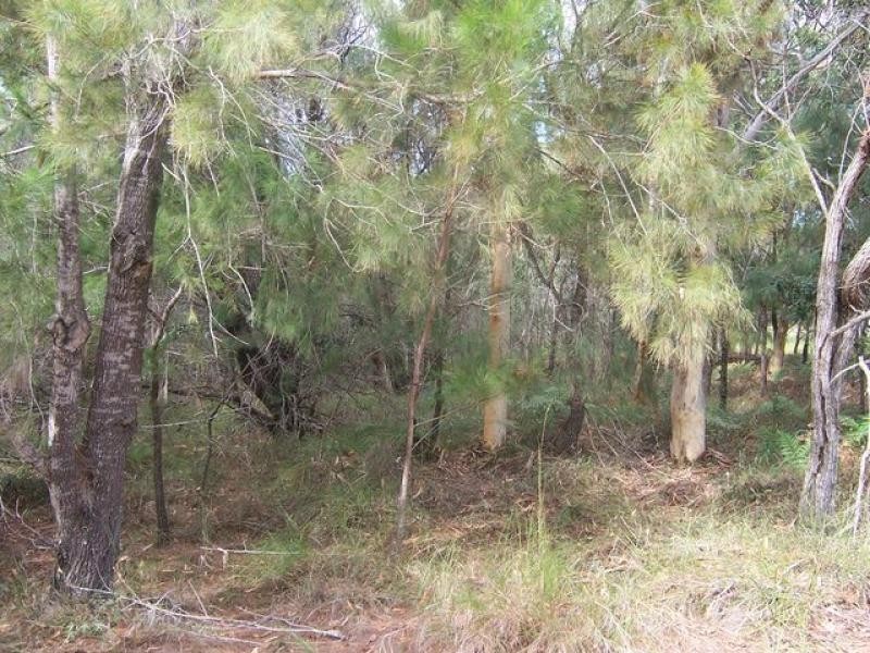 24 Lakeside Ave, Macleay Island QLD 4184