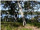 97 Beelong Street, Macleay Island QLD 4184