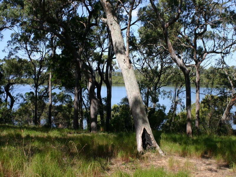 97 Beelong Street, Macleay Island QLD 4184