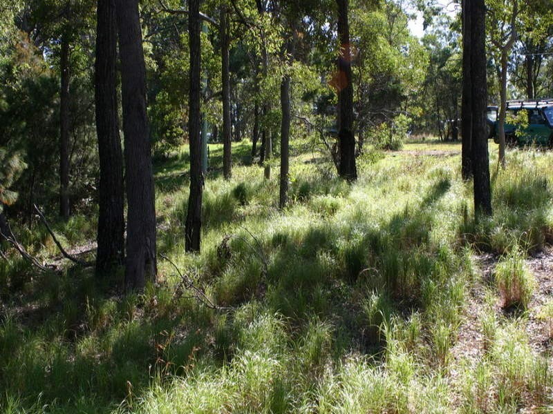 97 Beelong Street, Macleay Island QLD 4184