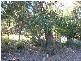 11 Eastern Road, Macleay Island QLD 4184