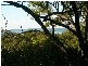 11 Beelong Street, Macleay Island QLD 4184