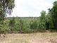 16 Calm Waters Crescent, Macleay Island QLD 4184