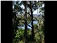 8 Pandora Court, Macleay Island QLD 4184