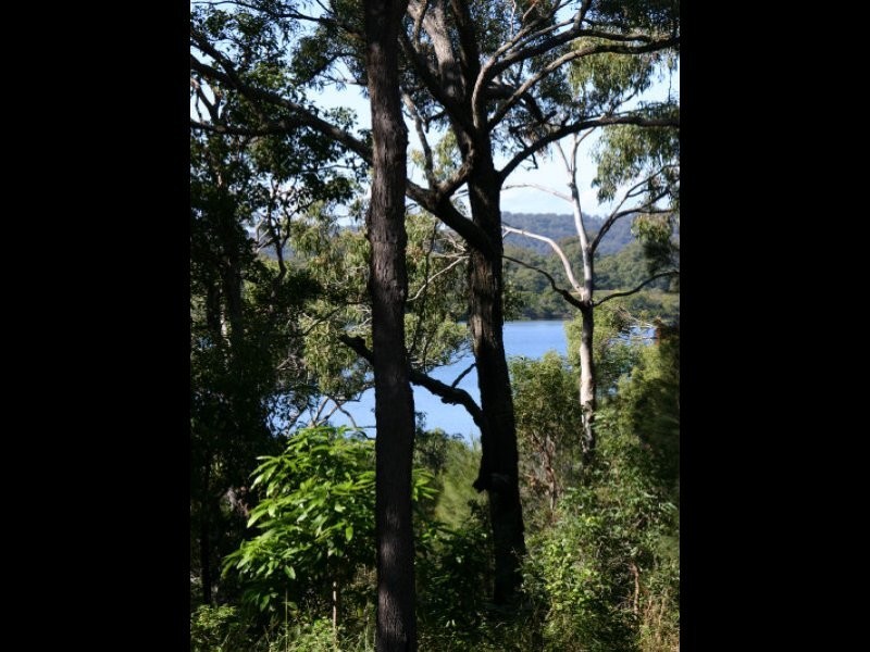 8 Pandora Court, Macleay Island QLD 4184