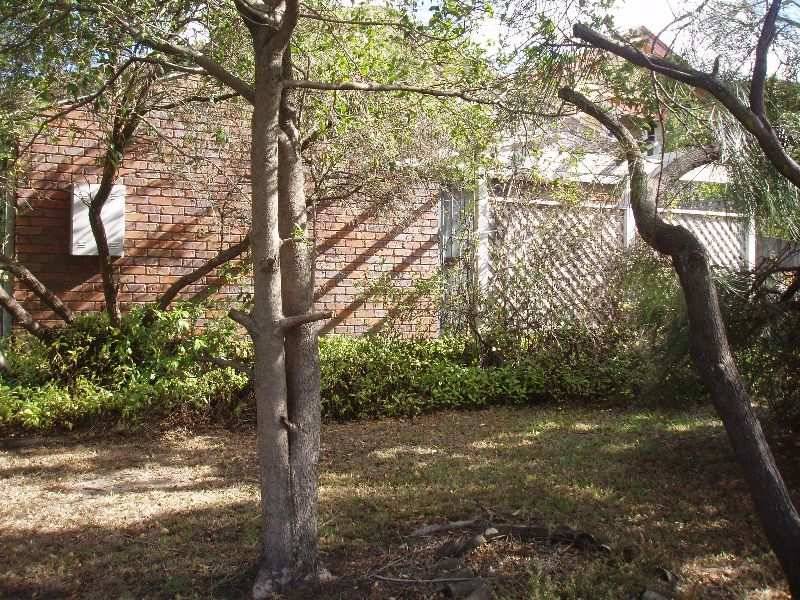 827 Cavendish Road, Holland Park QLD 4121