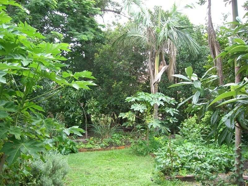 3 Robinson Street, Moorooka QLD 4105