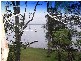 95 Yarrawonga Park Road, Yarrawonga Park NSW 2264