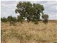 Stonehenge QLD 4730