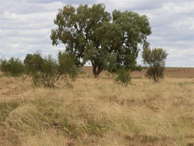 Stonehenge QLD 4730