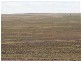 Stonehenge QLD 4730