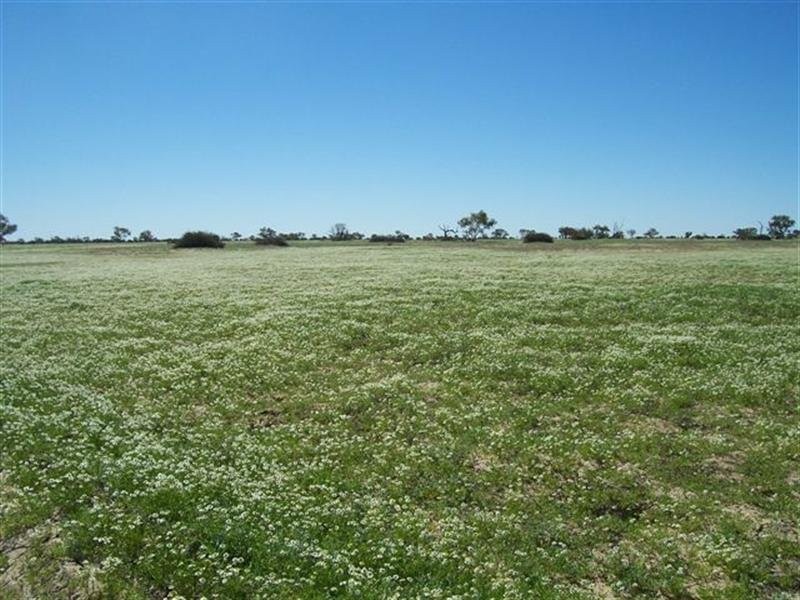 Birdsville QLD 4482