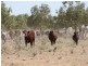 Birdsville QLD 4482