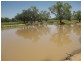 Boulia QLD 4829