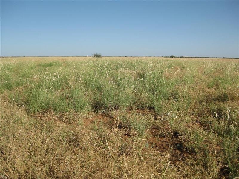Boulia QLD 4829