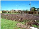 Lot 29 Peggy Crescent, Redbank Plains QLD 4301