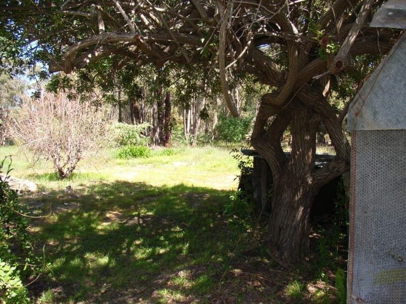 1005 Helena Terrace, Sawyers Valley WA 6074