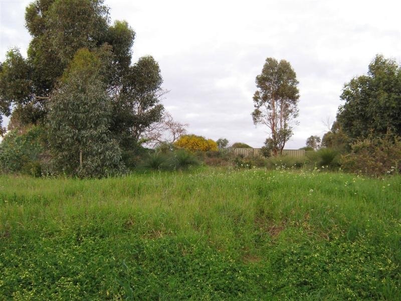 Greenmount WA 6056