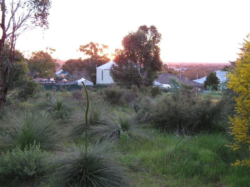 Greenmount WA 6056