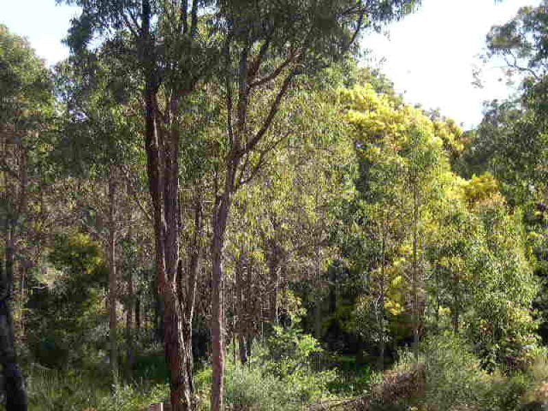 Mahogany Creek WA 6072