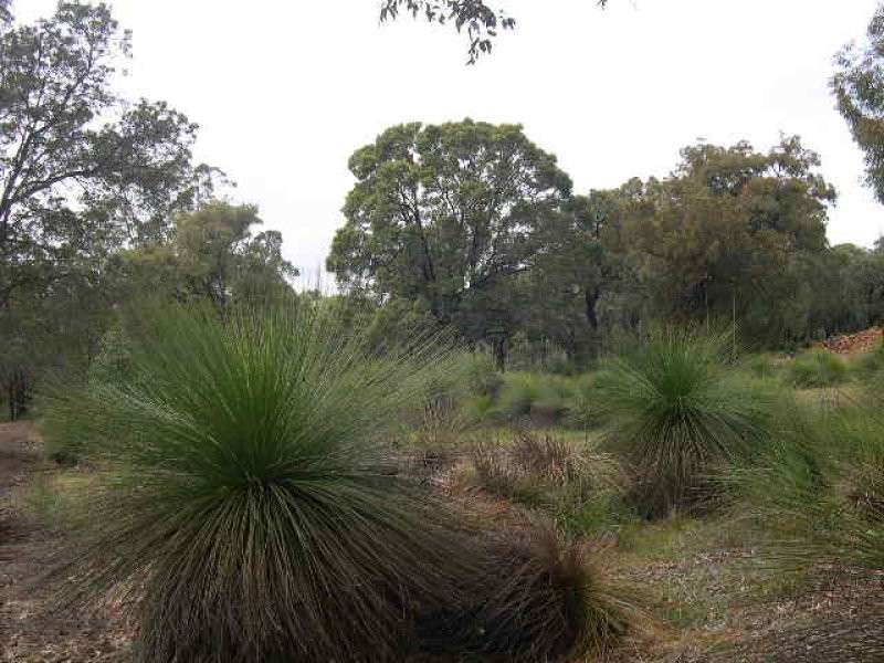 Mahogany Creek WA 6072