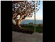 Moffat Beach QLD 4551